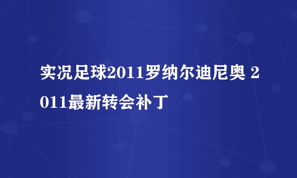实况足球2011罗纳尔迪尼奥 2011最新转会补丁