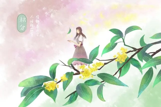 24节气之秋分简笔画 秋分主题简笔画图片大全