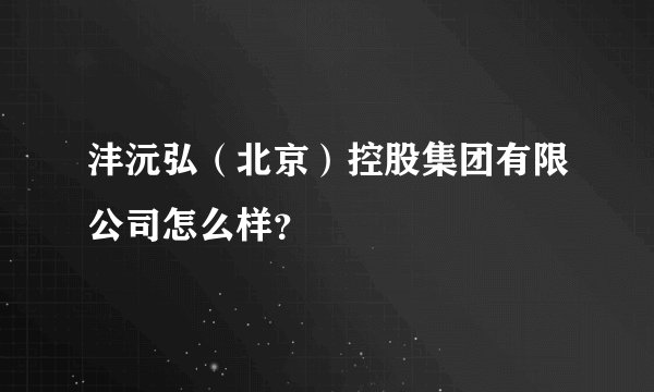 沣沅弘（北京）控股集团有限公司怎么样？