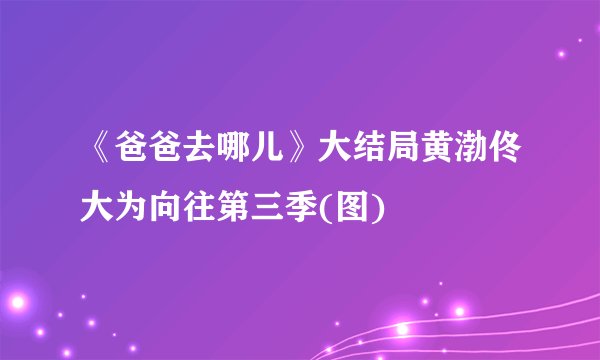 《爸爸去哪儿》大结局黄渤佟大为向往第三季(图)