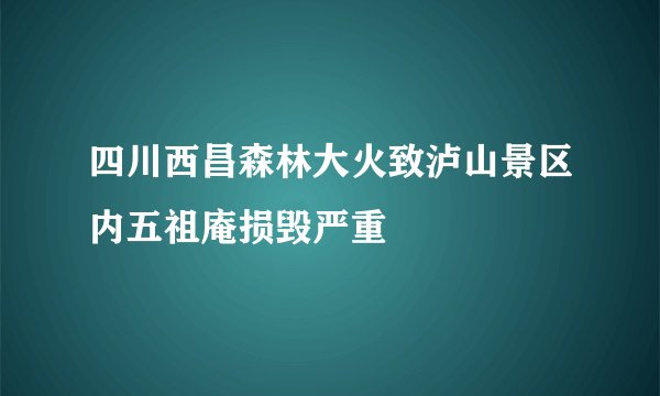 四川西昌森林大火致泸山景区内五祖庵损毁严重