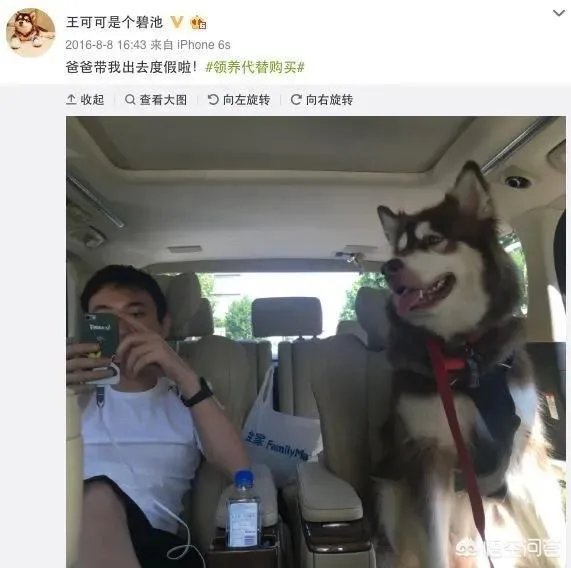你知道哪些明星,在家养有什么样的宠物呢?