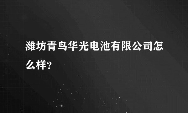 潍坊青鸟华光电池有限公司怎么样？