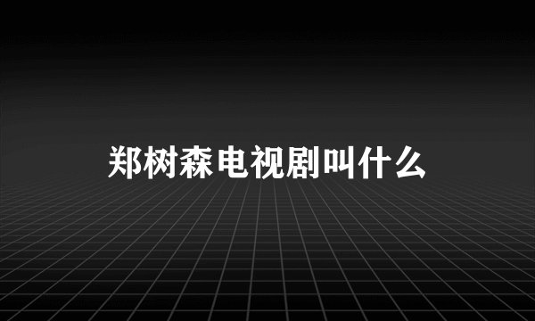 郑树森电视剧叫什么