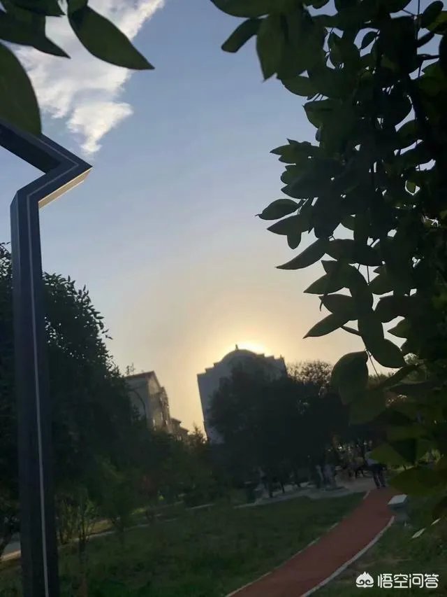 八十多岁的老太太病危,亲人要抢救,但老人叫孩子不要抢救了,你怎么看?
