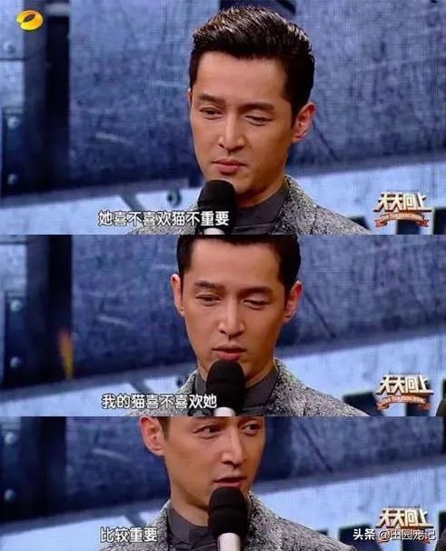 你知道哪些明星,在家养有什么样的宠物呢?