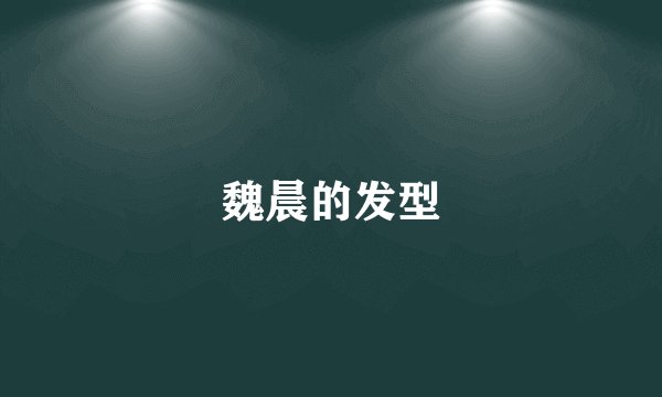 魏晨的发型