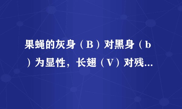 果蝇的灰身（B）对黑身（b）为显性，长翅（V）对残翅（v）为显性，两对基因独立遗传。下列有关灰身长翅果蝇（BbVv）雌雄个体交配产生的后代叙述正确的是（　　）A. 有4种基因型个体B. 表现型比例约为9：3：3：1C. 其中黑身残翅个体占2/16D. 其中灰身长翅个体的基因型有2种