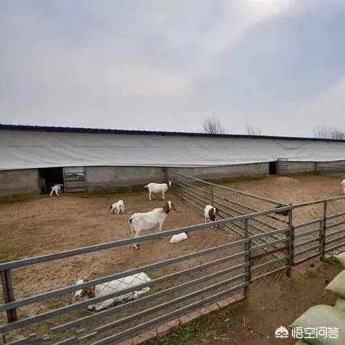 在自己家的耕地上建了一个养殖场,现在说属于违建要拆,该怎么办啊?