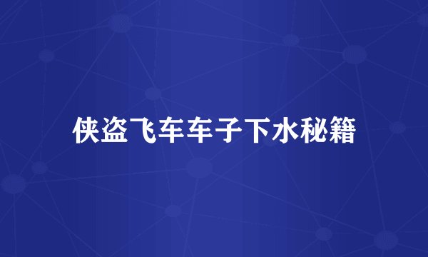 侠盗飞车车子下水秘籍