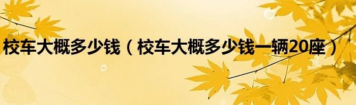 校车大概多少钱（校车大概多少钱一辆20座）