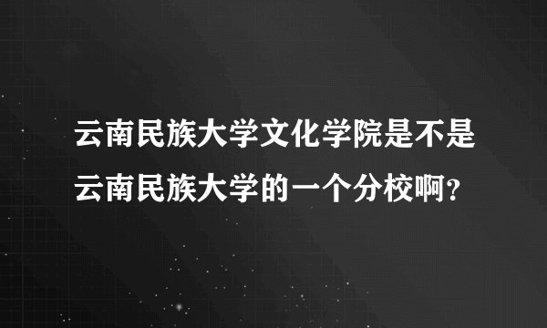 云南民族大学文化学院是不是云南民族大学的一个分校啊？