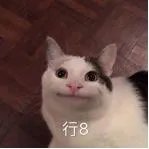 如何看待东海航空机长与乘务员在飞行途中发生争执并打架?