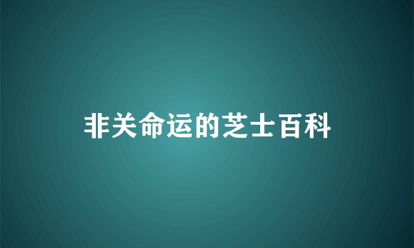 非关命运的芝士百科