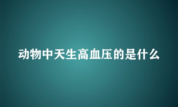 动物中天生高血压的是什么