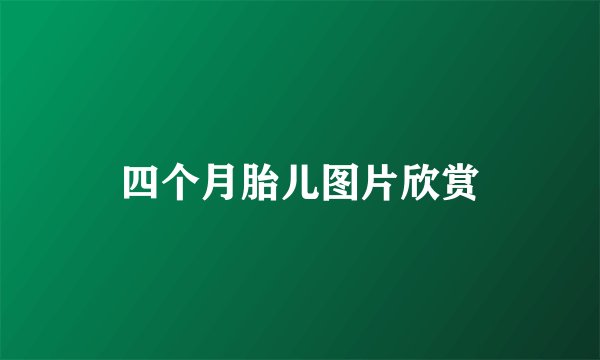 四个月胎儿图片欣赏