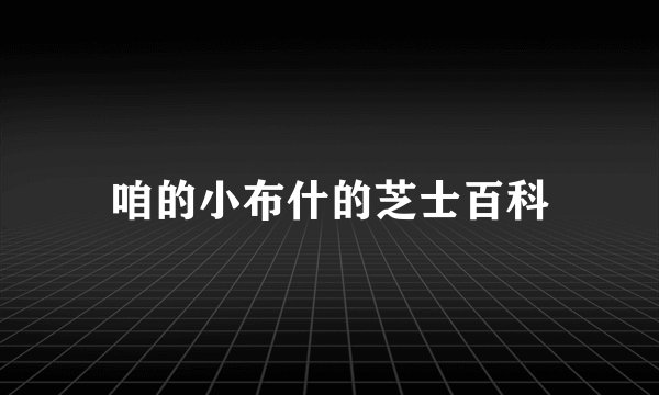 咱的小布什的芝士百科