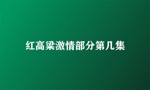 红高粱激情部分第几集