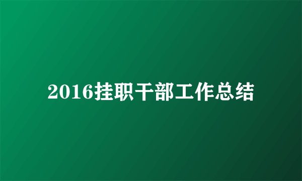 2016挂职干部工作总结