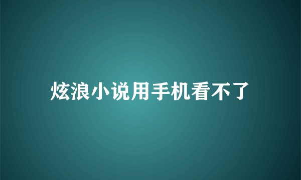 炫浪小说用手机看不了