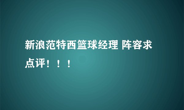 新浪范特西篮球经理 阵容求点评！！！