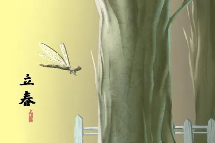 今天什么时候立春?