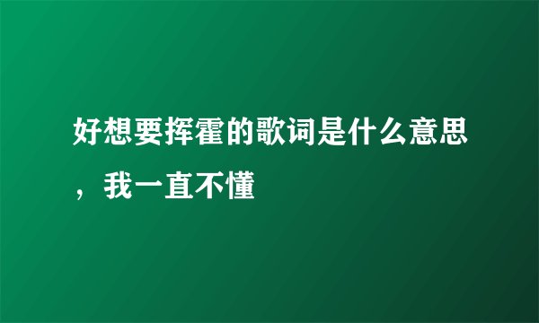 好想要挥霍的歌词是什么意思,我一直不懂