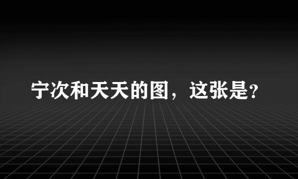 宁次和天天的图，这张是？