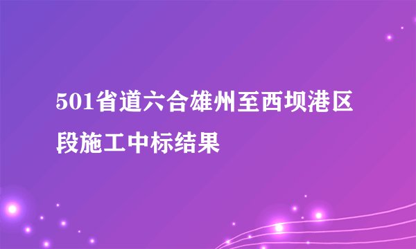 501省道六合雄州至西坝港区段施工中标结果