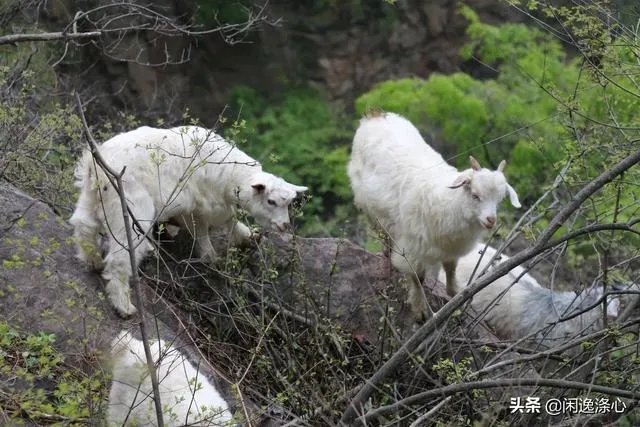 河南户外驴友的经典线路是那里？