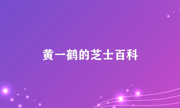 黄一鹤的芝士百科