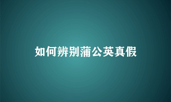如何辨别蒲公英真假