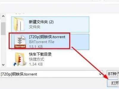 为什么现在用迅雷下载,老是说BT文件解析失败,或者不能下载,手机除