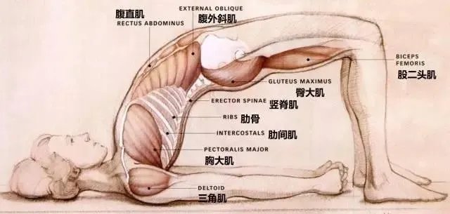 素颜女神王丽坤为什么能迷倒林更新?