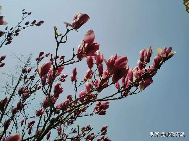 今年五一天津人能跨省旅游吗?