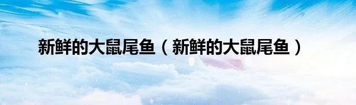 新鲜的大鼠尾鱼（新鲜的大鼠尾鱼）