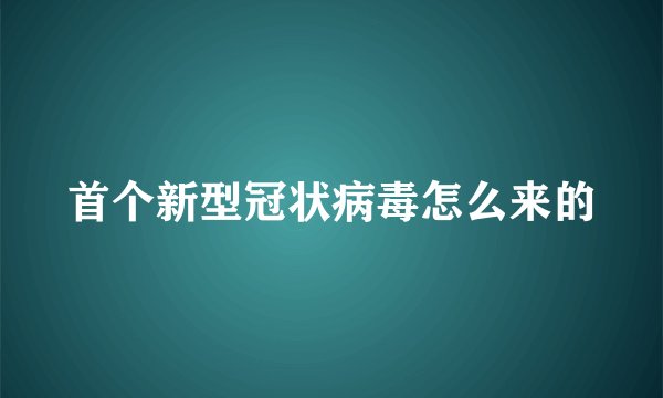 首个新型冠状病毒怎么来的