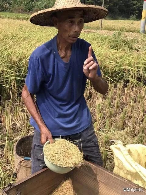 农村老人希望有和当地退休工人最低标准的退休金合理吗?