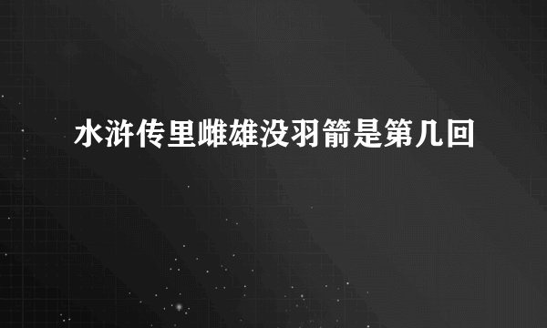 水浒传里雌雄没羽箭是第几回