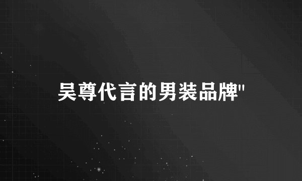 吴尊代言的男装品牌