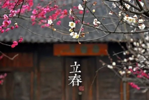 2019年农历是哪一天立春？