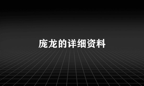 庞龙的详细资料