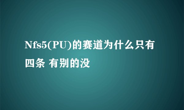 Nfs5(PU)的赛道为什么只有四条 有别的没