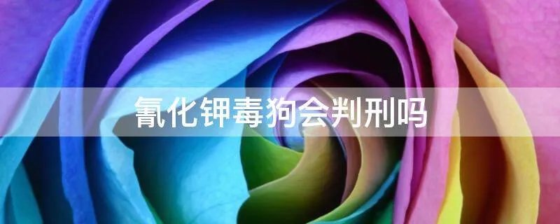 氰化钾毒狗会判刑吗