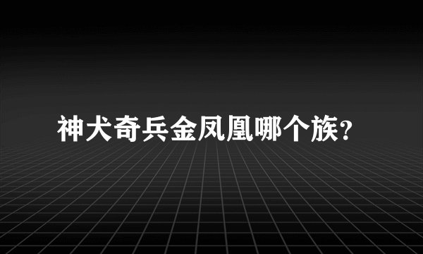 神犬奇兵金凤凰哪个族？