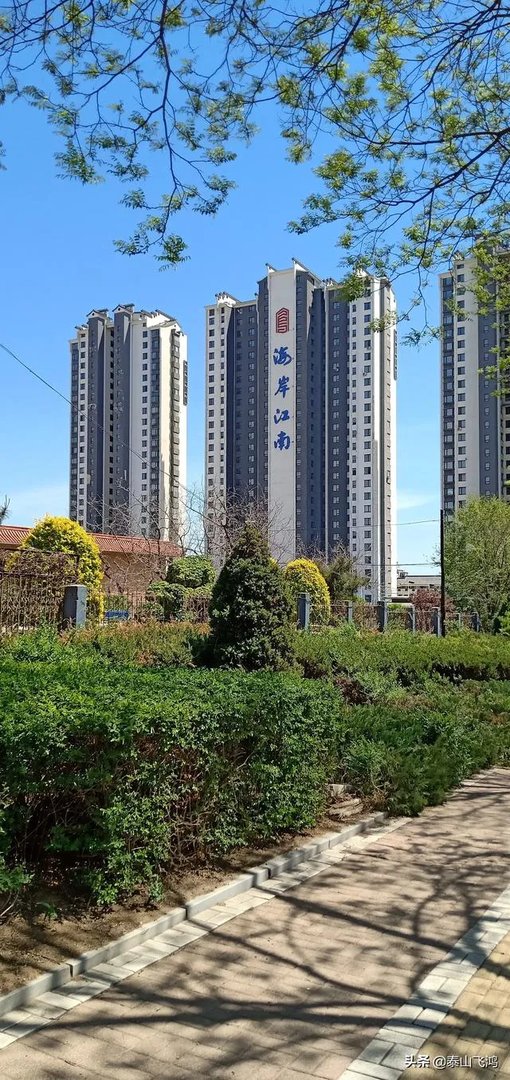 锦州开发区的房子有可能涨价吗?