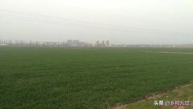 冯佳文 寿光