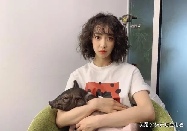 你知道哪些明星,在家养有什么样的宠物呢?