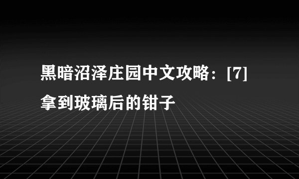 黑暗沼泽庄园中文攻略：[7]拿到玻璃后的钳子