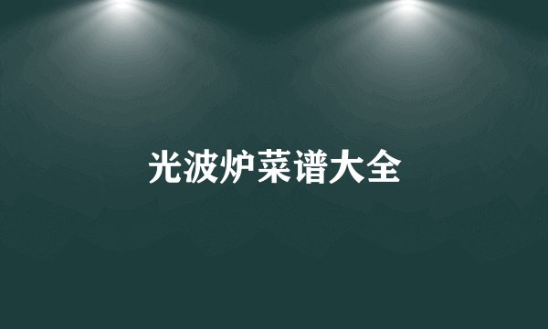 光波炉菜谱大全